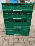 Klapkratten/vouwkratten van Kunststof Zwart en Groen, Gebruikt, 40 tot 60 cm, Opvouwbaar, 50 tot 75 cm