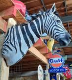 Mooie opgezette echte Zebra wand mancave cafe decoratie