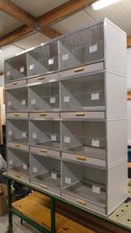 Gehu kweekkooi, Enlèvement, Comme neuf