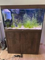 Aquatlantis sublime 100x50x60, Dieren en Toebehoren, Ophalen, Gebruikt, Leeg aquarium
