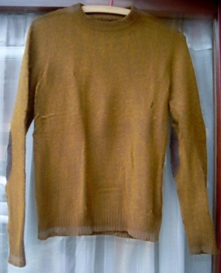 Herentrui maat XS, Kleding | Heren, Truien en Vesten, Gedragen, Maat 46 (S) of kleiner, Bruin, Ophalen of Verzenden
