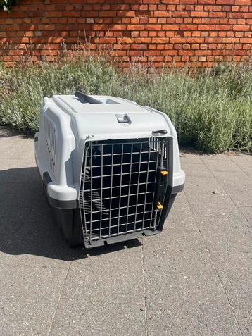 Transportbox kat of kleine hond beschikbaar voor biedingen