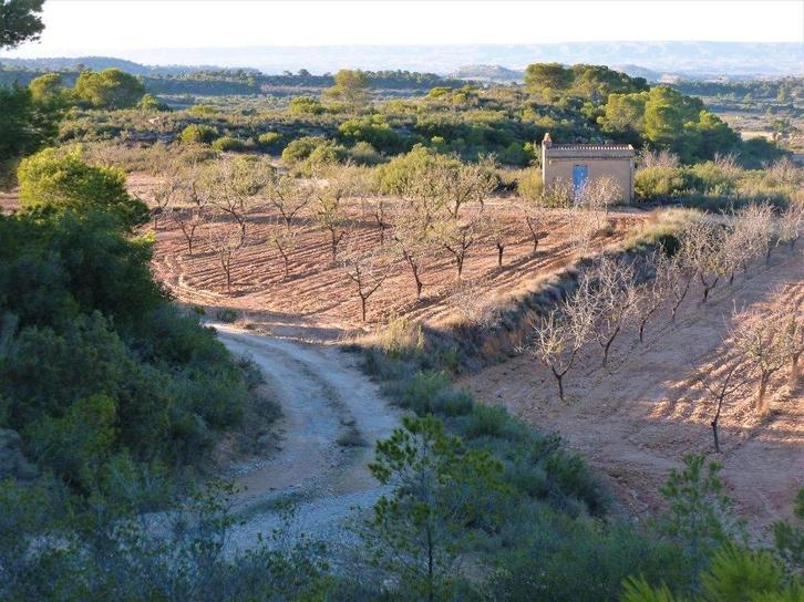 Finca in Fabara (Aragón, Spanje) - 0581, Immo, Buitenland, Spanje, Overige soorten, Landelijk