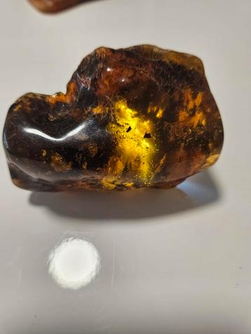  verschillende stukken ruwe baltische amber