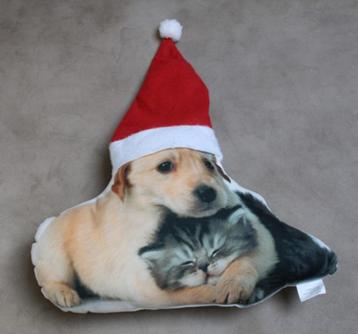 Schattig kussen in Kerstthema beschikbaar voor biedingen