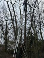 Gwarlijke 🌴 bomen snijden, Tuin en Terras, Ophalen