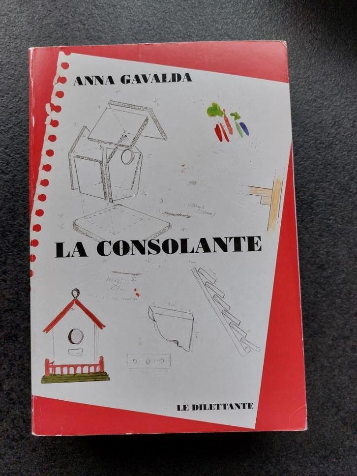 La consolante - Anna Gavalda, Boeken, Romans, Gelezen, Europa overig, Ophalen of Verzenden
