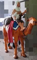 Tintin chameau, Ophalen