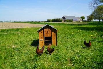 Trespa Kippenhok / Classic L - Cucciolotta beschikbaar voor biedingen
