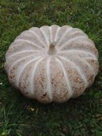 grote decoratieve pompoen, terracotta, pompoen, Halloween-po, Hobby en Vrije tijd, Feestartikelen, Ophalen of Verzenden, Zo goed als nieuw