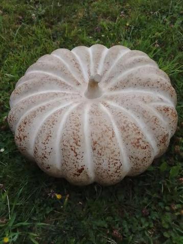 grote decoratieve pompoen, terracotta, pompoen, Halloween-po beschikbaar voor biedingen