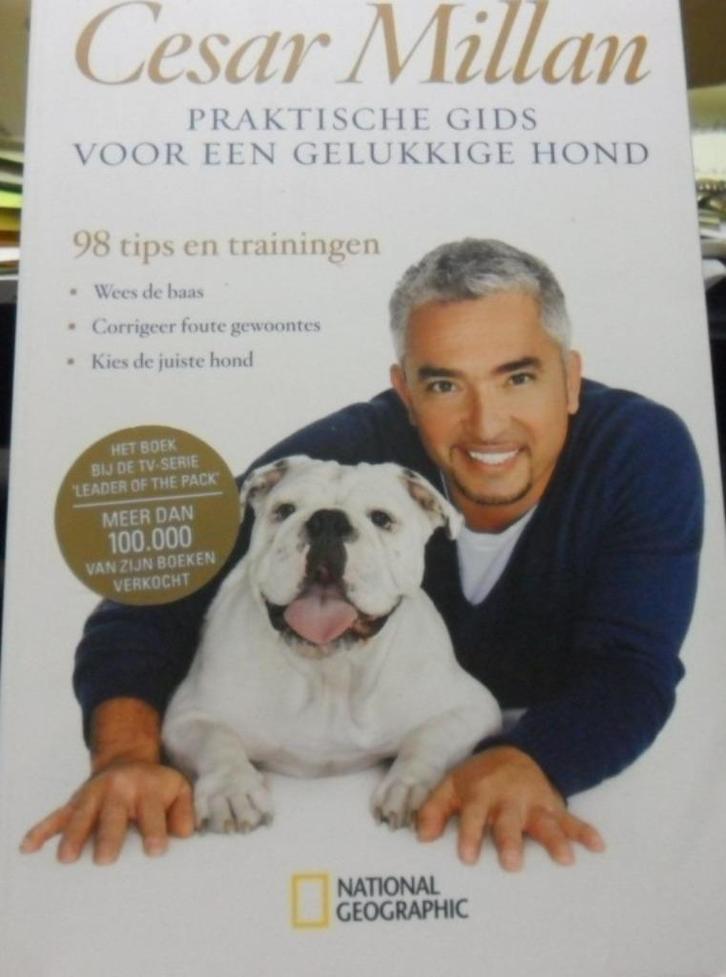 Praktische gids voor een gelukkige hond? Cesar Millan, Boeken, Dieren en Huisdieren, Zo goed als nieuw, Honden, Ophalen of Verzenden