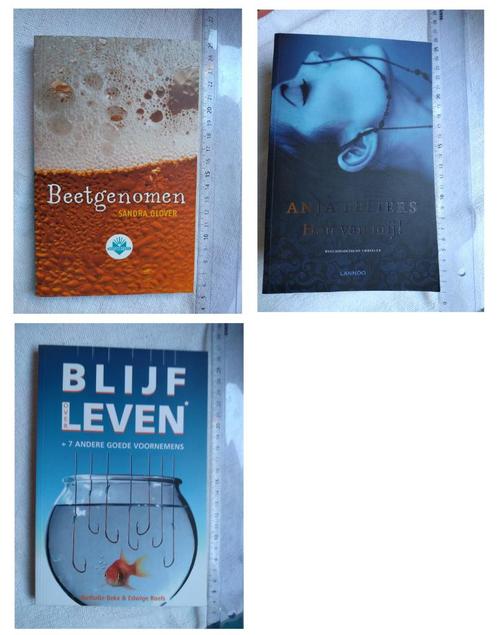 romans jeugd sprookjes natuur planten dieren koken detective, Boeken, Romans, Ophalen of Verzenden