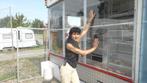 porte serre, ,couche , ,porte,terrasse ,auvent en plexiglas, Ophalen, Gebruikt, Plastic, Kweekkas