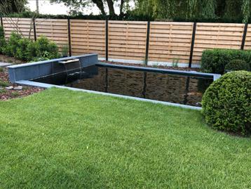 Beginnende hobbyliefhebber zoekt nog enkele japanse koi’s beschikbaar voor biedingen