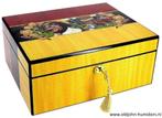 H59 AKTIE NU € 99,50 HUMIDOR CIGARMAN HOOGGLANS 70 SIGAREN, Verzamelen, Verzenden, Nieuw, Tabaksdoos of Verpakking