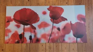Ikea Pjatteryd Poppies II canvas