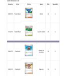 Cartes Pokémon japonaises – Dresseurs à 1€ pièce, Hobby & Loisirs créatifs, Jeux de cartes à collectionner | Pokémon, Comme neuf