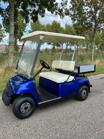 Electrische golfkar perfecte conditie , rijdt heerlijk beschikbaar voor biedingen