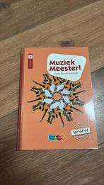 Rinze van der Lei - Muziek Meester!, Ophalen, Muziek, Rinze van der Lei; Lieuwe Noordam; Frans Haverkort