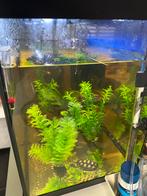 Aquarium met verwarming(73 liter)zonder schilpad,vis, Dieren en Toebehoren, Vissen | Aquaria en Toebehoren, Ophalen, Nieuw, Leeg aquarium