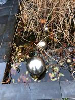 bollen vijver of tuin , design, Ophalen