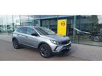 Opel Grandland 1.2T 130OK Business Edition AT8 Navi, Camera, 130 pk, 96 kW, 5 zetels, 5 deurs