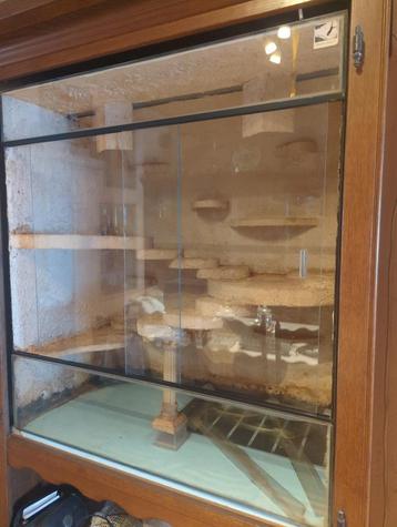 Terrarium  beschikbaar voor biedingen