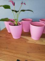 Set zomerse bloempotten. Koopje 8 euro!!!!, Tuin en Terras, Ophalen, Rond, Terracotta, Binnen