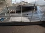 ratten kooi, Dieren en Toebehoren, Ophalen, Gebruikt, Kooi, Rat
