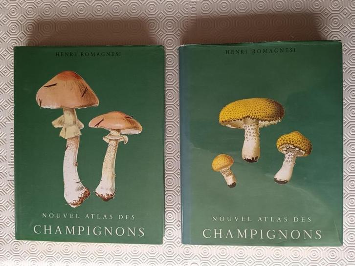 Romagnesi - delen 3 en 4, Boeken, Natuur, Zo goed als nieuw, Overige onderwerpen, Ophalen