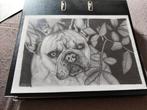 Realistische tekening portret Franse bulldog, Huis en Inrichting, Woonaccessoires | Schilderijen, Tekeningen en Foto's, Ophalen