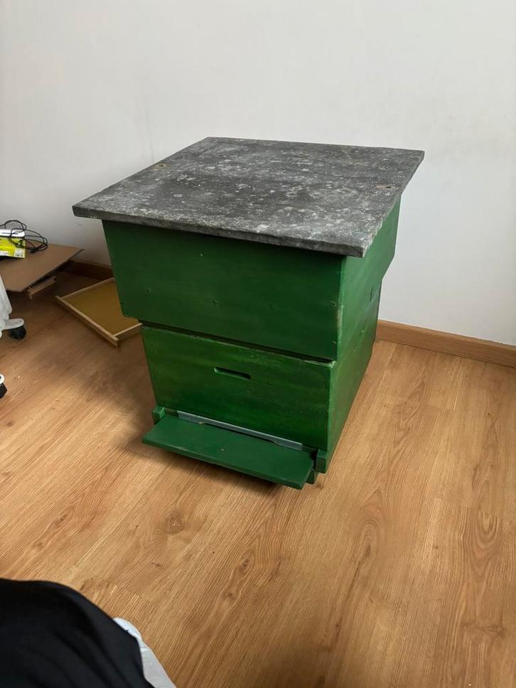 Simplex 10-ramer (inclusief 20 raten met verse kunstraat), Dieren en Toebehoren, Insecten en Spinnen, Bijen