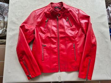 Jasje L beschikbaar voor biedingen