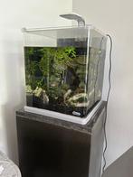 Aquarium, Ophalen, Gebruikt