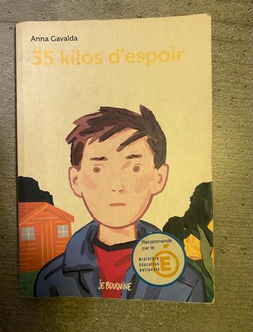 35 kilo hoop - Anna Gavalda beschikbaar voor biedingen