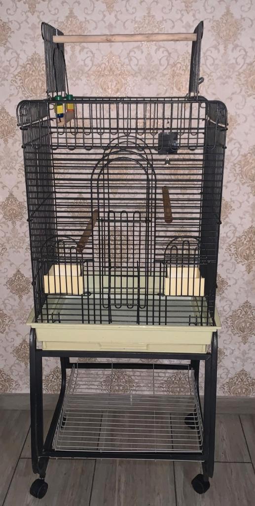 Grote papegaaienkooi met complete accessoires, Dieren en Toebehoren, Vogels | Hokken en Kooien, Ophalen of Verzenden