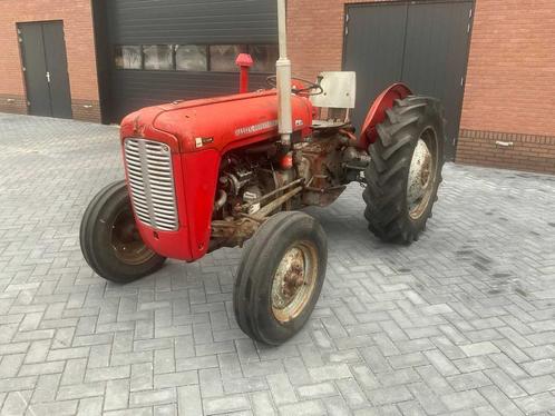 1962 Massey Ferguson 35 X Oldtimer tractor, Zakelijke goederen, Landbouw | Tractoren, Massey Ferguson, Oldtimer