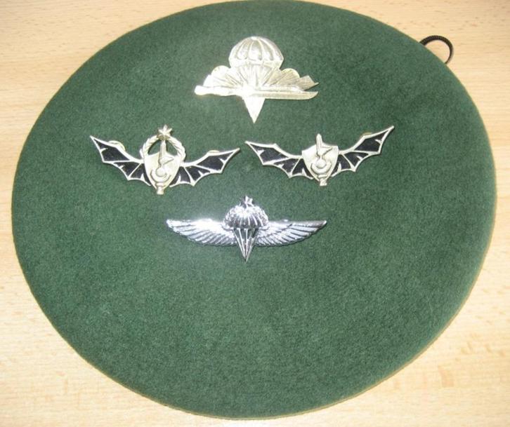 Para kentekens - ISRAEL, Verzamelen, Militaria | Algemeen, Landmacht, Embleem of Badge, Ophalen of Verzenden