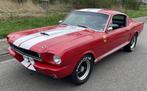 Ford Mustang Fastback GT350 Tribute (bj 1965), 4 zetels, 230 kW, 313 pk, Bedrijf