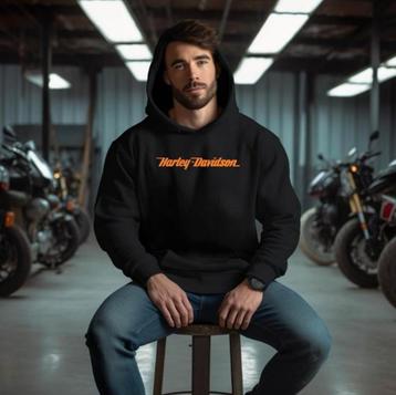 Hoodie Harley Davidson beschikbaar voor biedingen