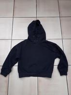 Hoodie 140, Ophalen of Verzenden, Next, Trui of Vest