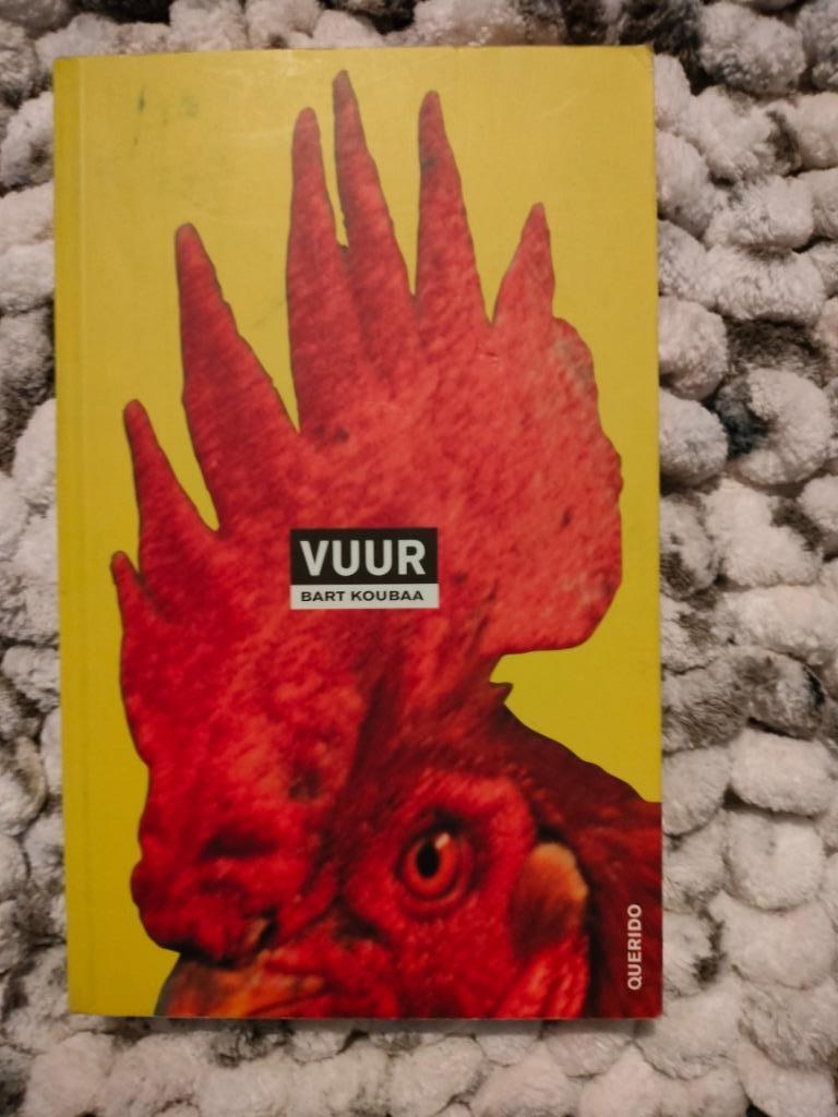 Bart Koubaa - Vuur, Boeken, Romans, Zo goed als nieuw, Ophalen of Verzenden