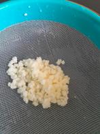 Melkkefir, Diversen, Levensmiddelen, Ophalen