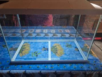 Superfish aquarium  60 l, Dieren en Toebehoren, Ophalen, Zo goed als nieuw