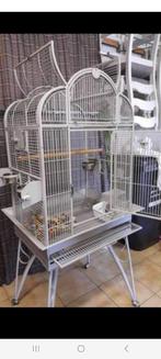 Cage à perroquets, Comme neuf, Enlèvement, Métal, Cage à oiseaux