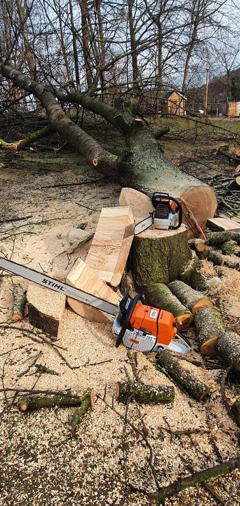 Kap en Snoeiwerken - Freeswerken - Tuinwerken - Betonschutti, Tuin en Terras, Overige Tuin en Terras, Ophalen of Verzenden