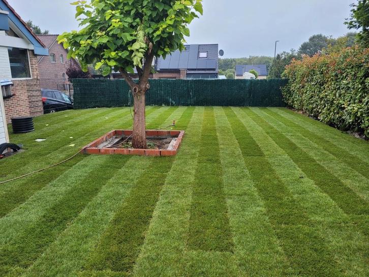 Zaaien, grasmatten,grondwerken,beregening,onkruidbestrijding, Tuin en Terras, Gras en Kunstgras, Ophalen of Verzenden