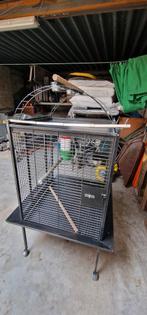 Papegaai kooi, Ophalen, Zo goed als nieuw, Metaal, Overige typen