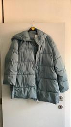 Mango, Kleding | Dames, Jassen | Winter, Ophalen of Verzenden, Zo goed als nieuw